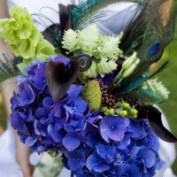 Peacock Plume Bouquet