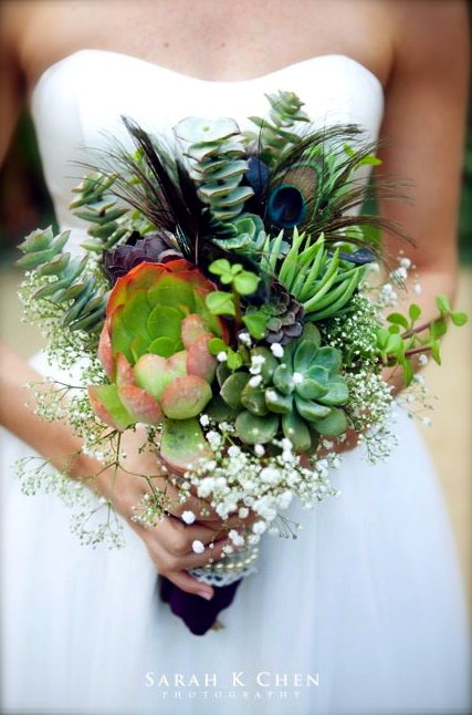 Succulent Bouquet with Peacock Plumes