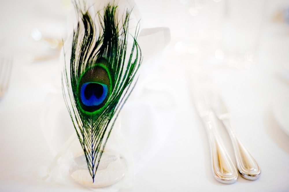 Peacock Feather Place Setting