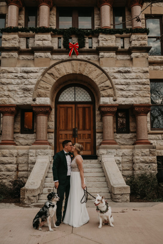 Bride Groom and Dogs