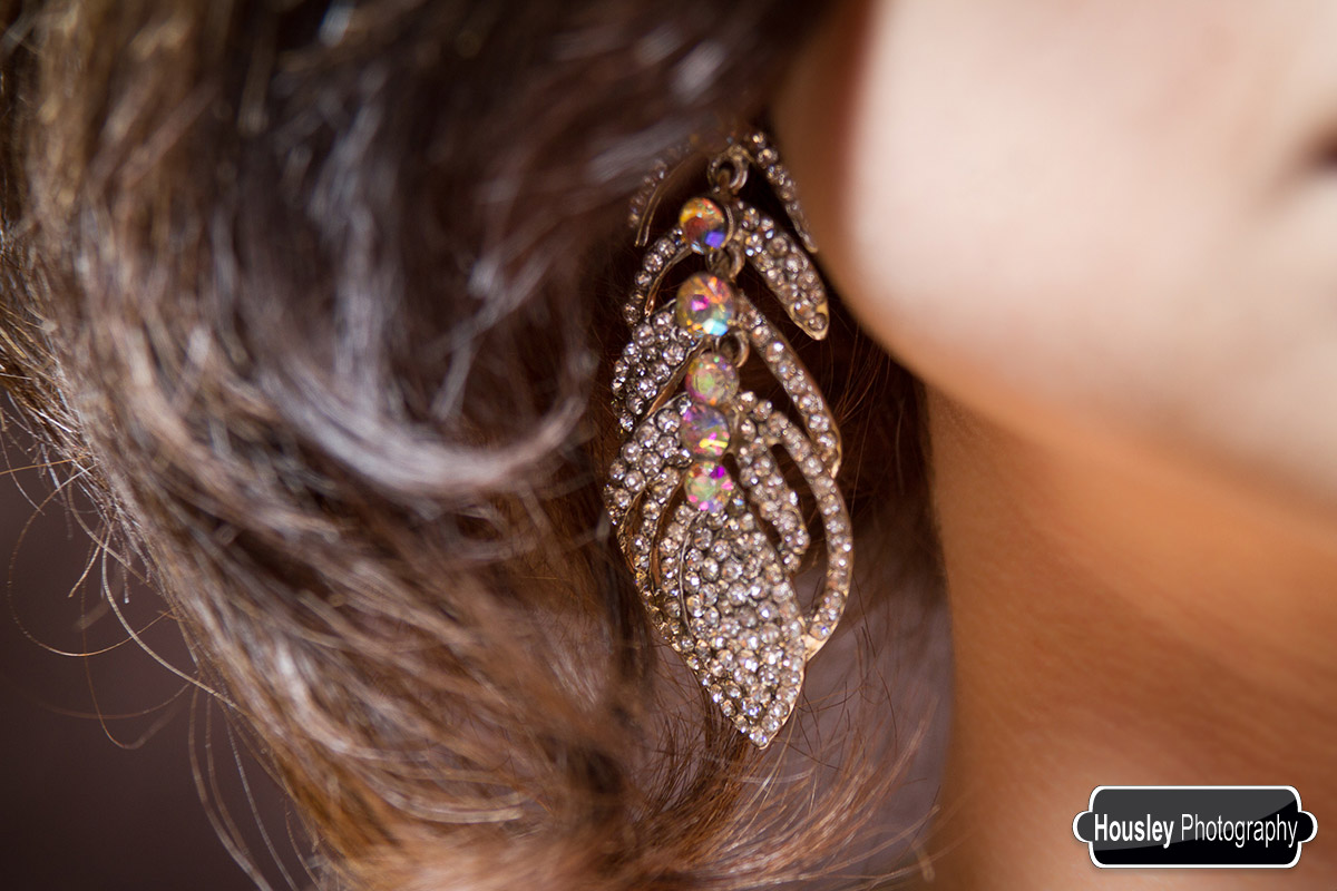 Deco Feather Crystal Earrings