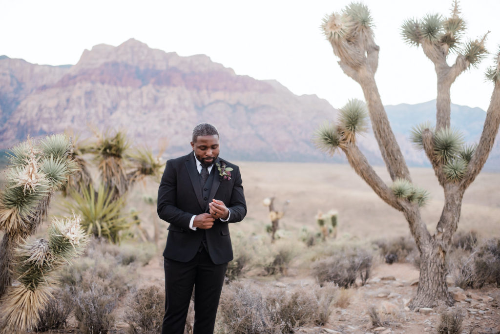 Groom Outdoor Elopement Nevada Red Rock Canyon