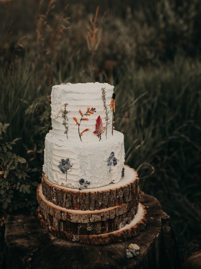 Rustic Mountain Wedding Cake