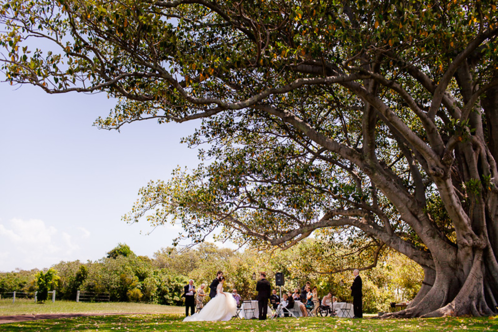 Vintage Style Outdoor Wedding Under Tree