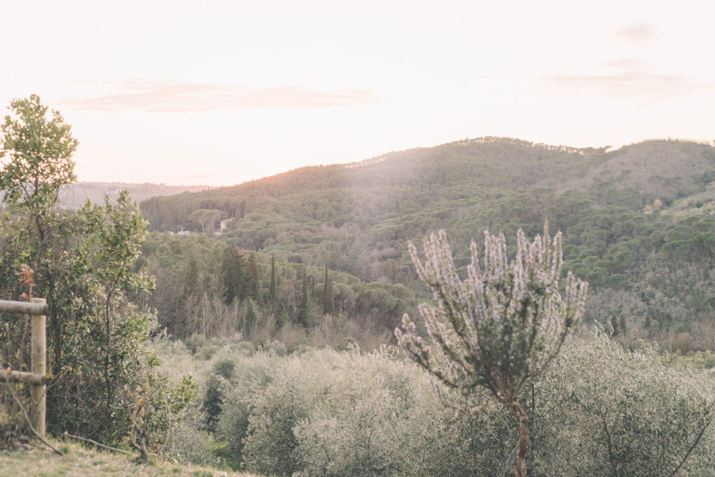 Wedding in Tuscany